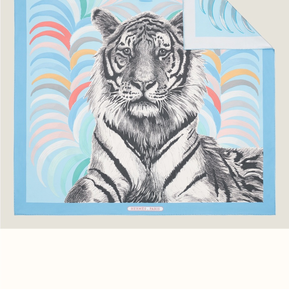 Hermès Scarf